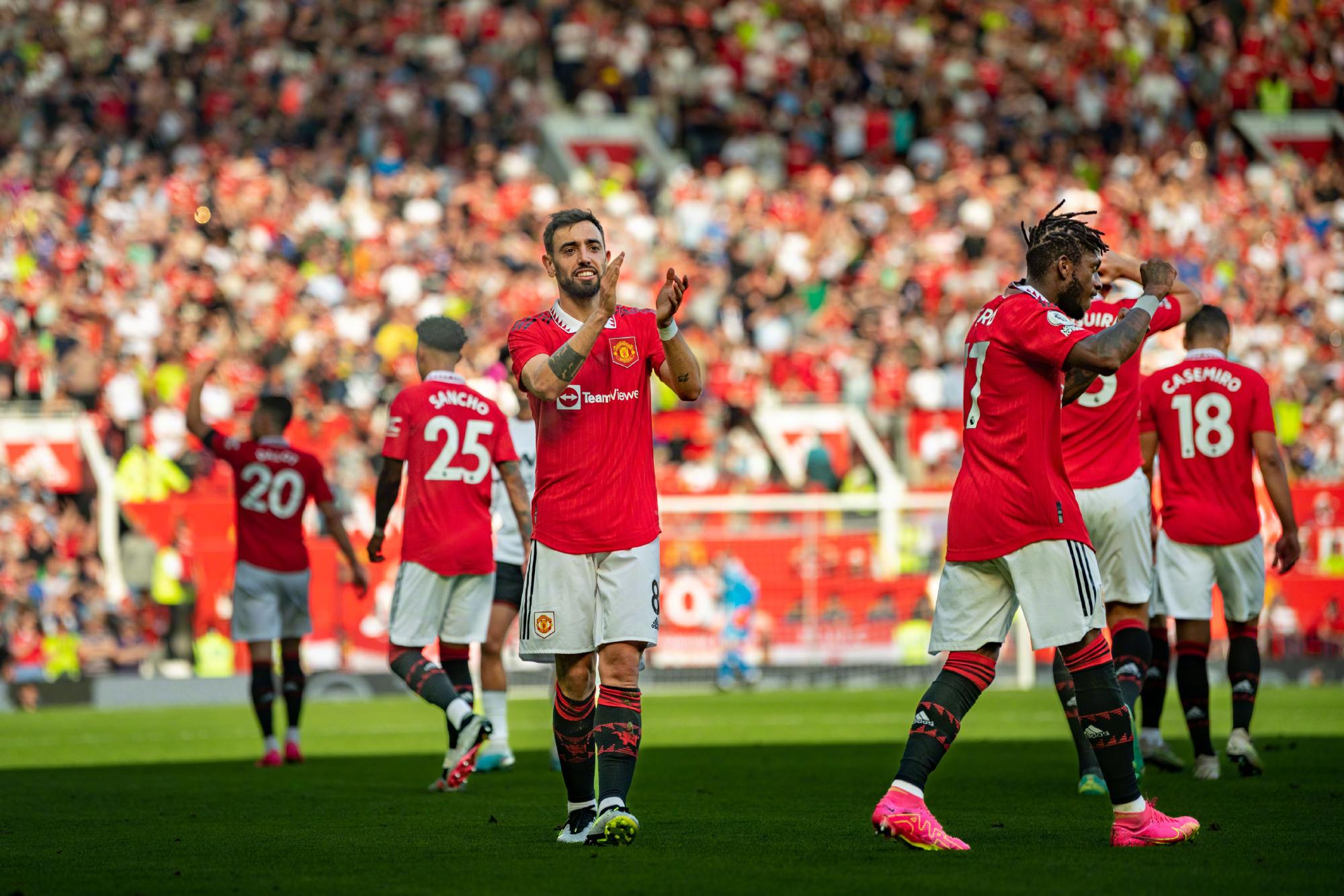 收获属于自 收获属于自