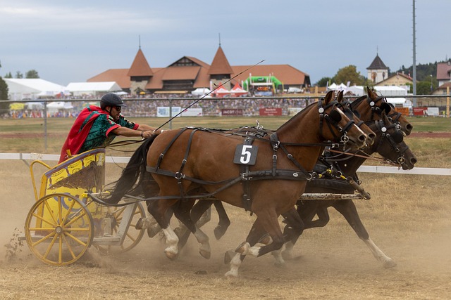 的一次圆满 的一次圆满