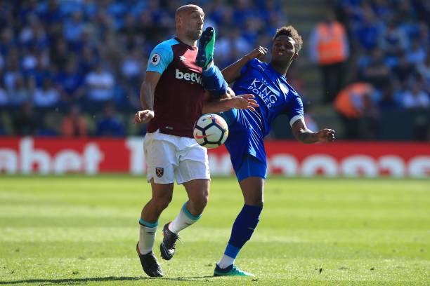 德约科维奇 德约科维奇