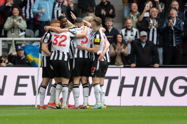 宏树与家人 宏树与家人